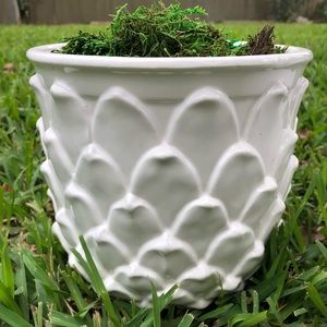 Artichoke planter